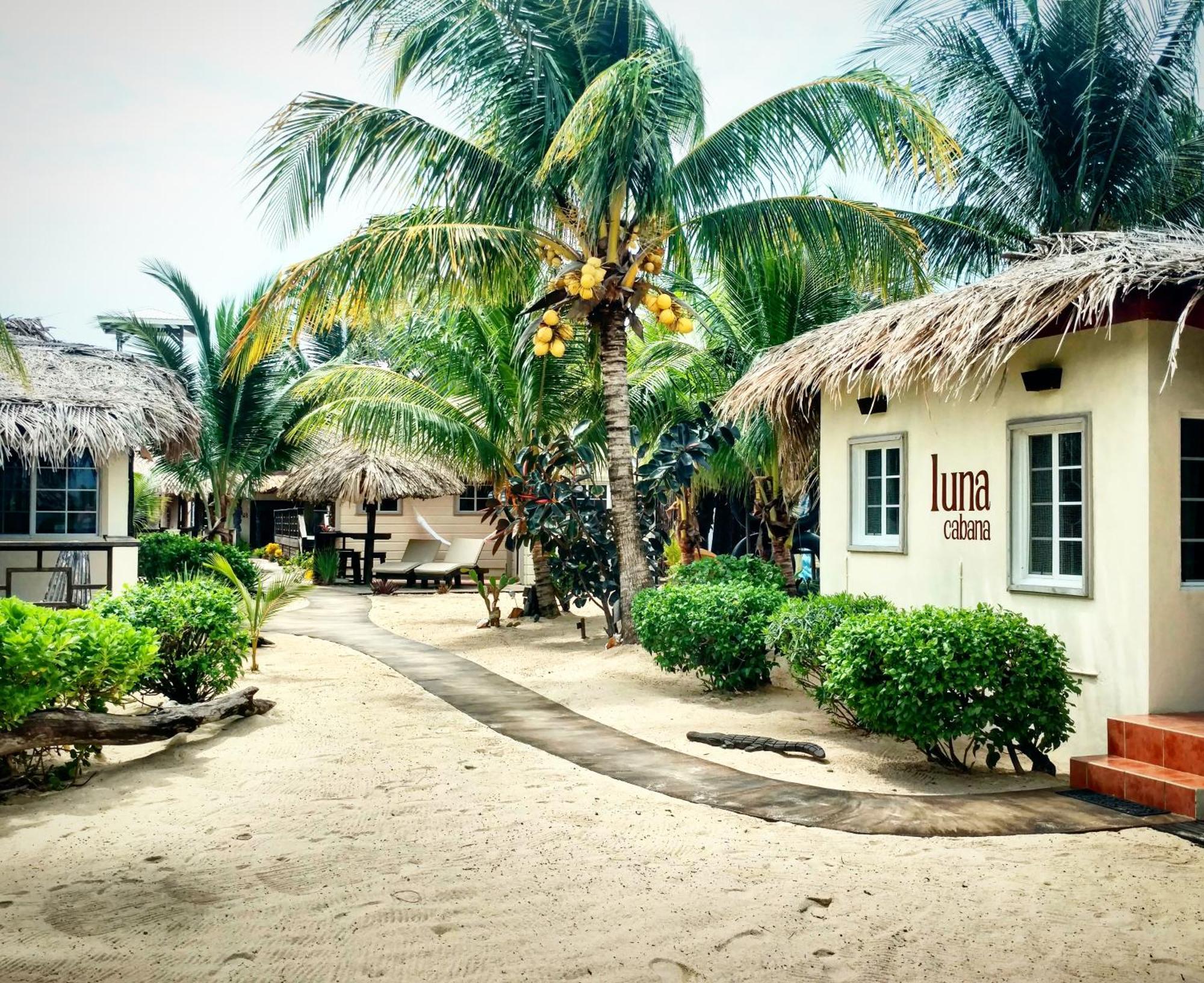 Caribbean Beach Cabanas Placencia Exterior foto